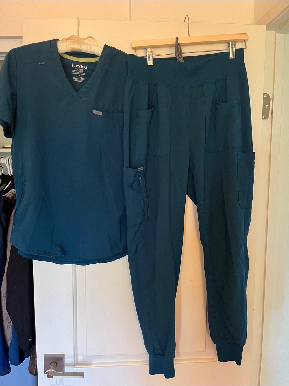Landau scrubs set